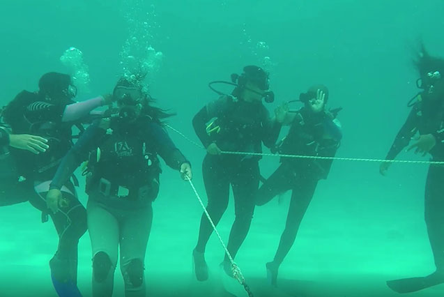 Nos équipes sont soudées, solidaires et  valorisent l’esprit d’entreprise.