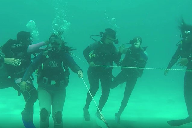 Our teams are tight-knit, entrepreneurial and supportive.