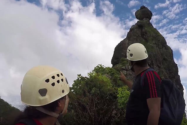 We offer competitive remuneration packages and reward success.